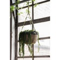 Amppelikori merihein&auml; &Oslash;24 cm ruskea riippuva