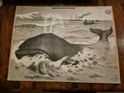 Valas opetustaulu, Alfred Jacobsens