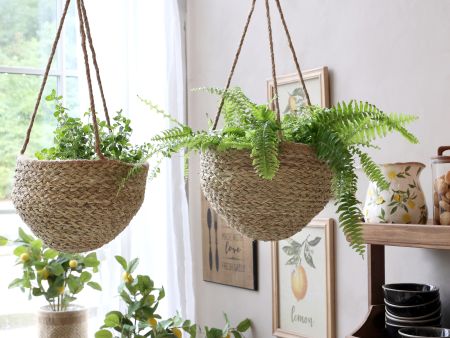 Amppelikori luonnonv&auml;rinen &Oslash; 27 cm, Chic Antique