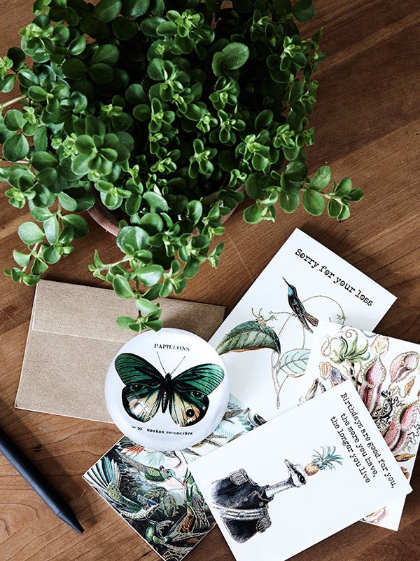 Kortti Don&acute;t Hide.. Vanilla Fly